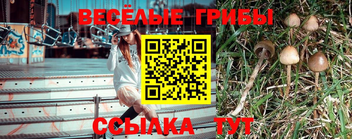 Галлюциногенные грибы мицелий  Вход с VPN  Карасук 