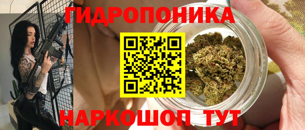 Бошки марихуана Amnesia Карасук